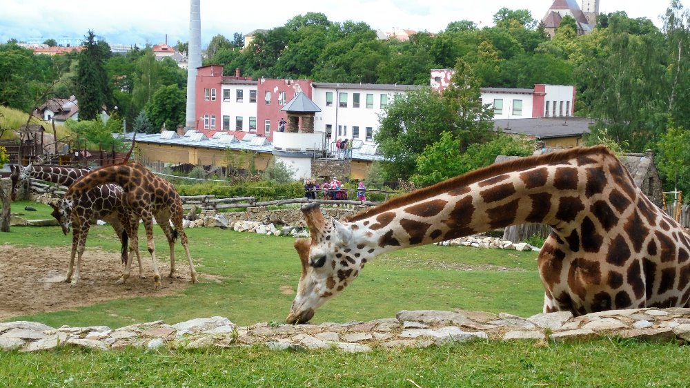 Výlet 2. ročníku do Jihlavy